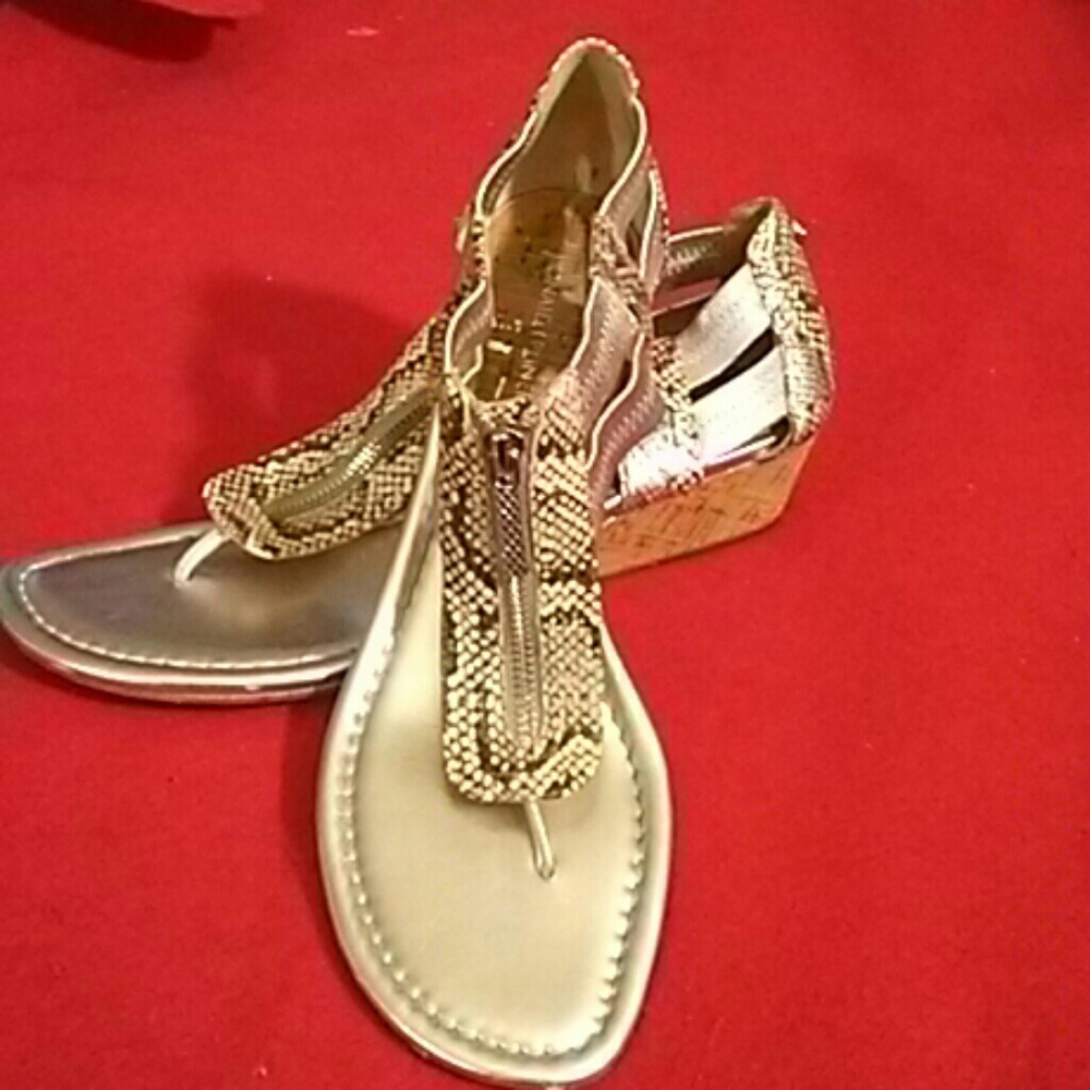 Donald J Pliner signed Wedge Sandals